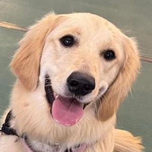 Meet your Posher, Sherri